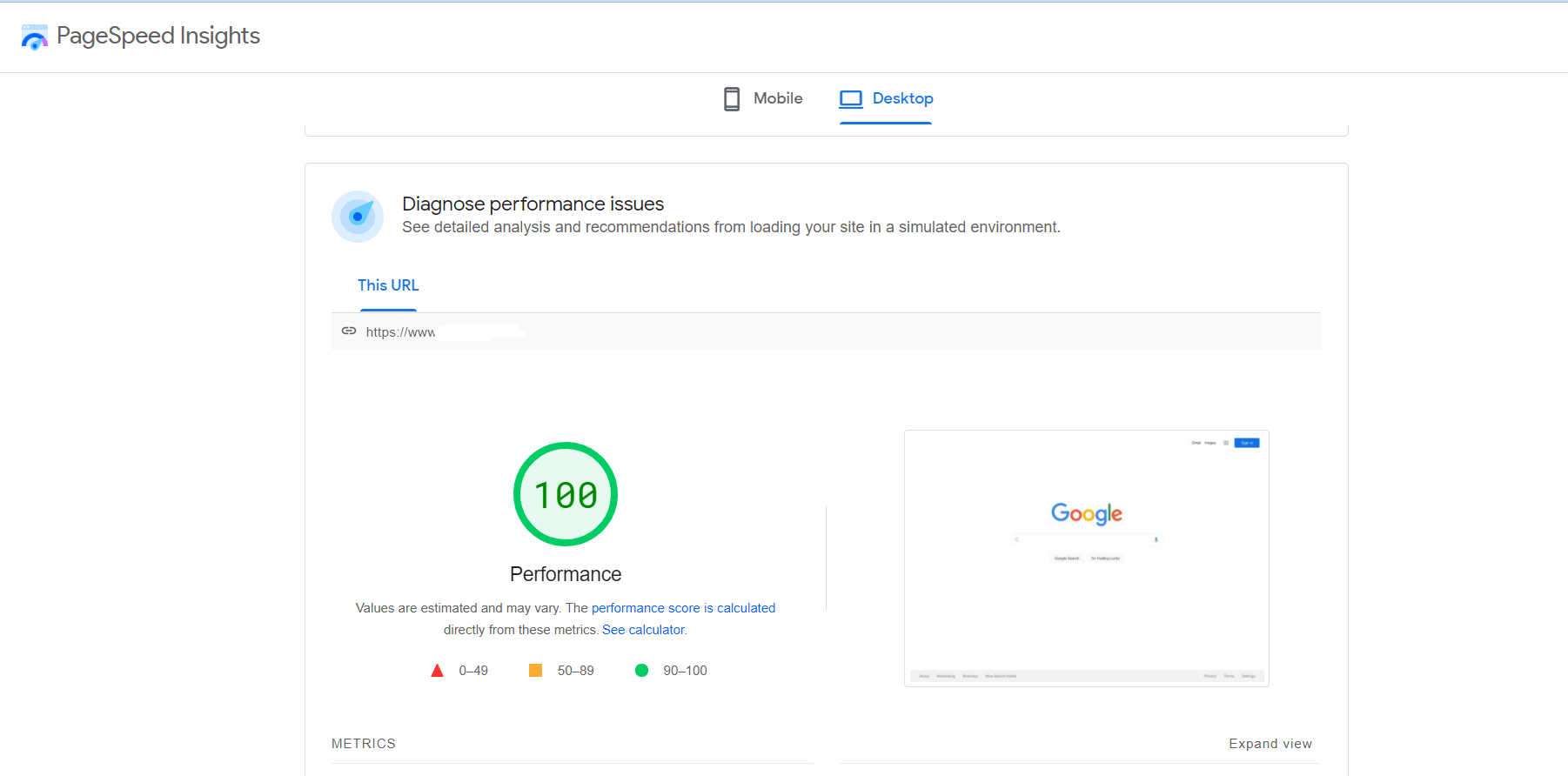 Google PageSpeed Insights Homepage