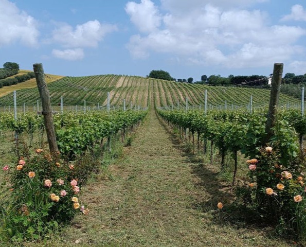 Wine Tasting Bookings on Shopify