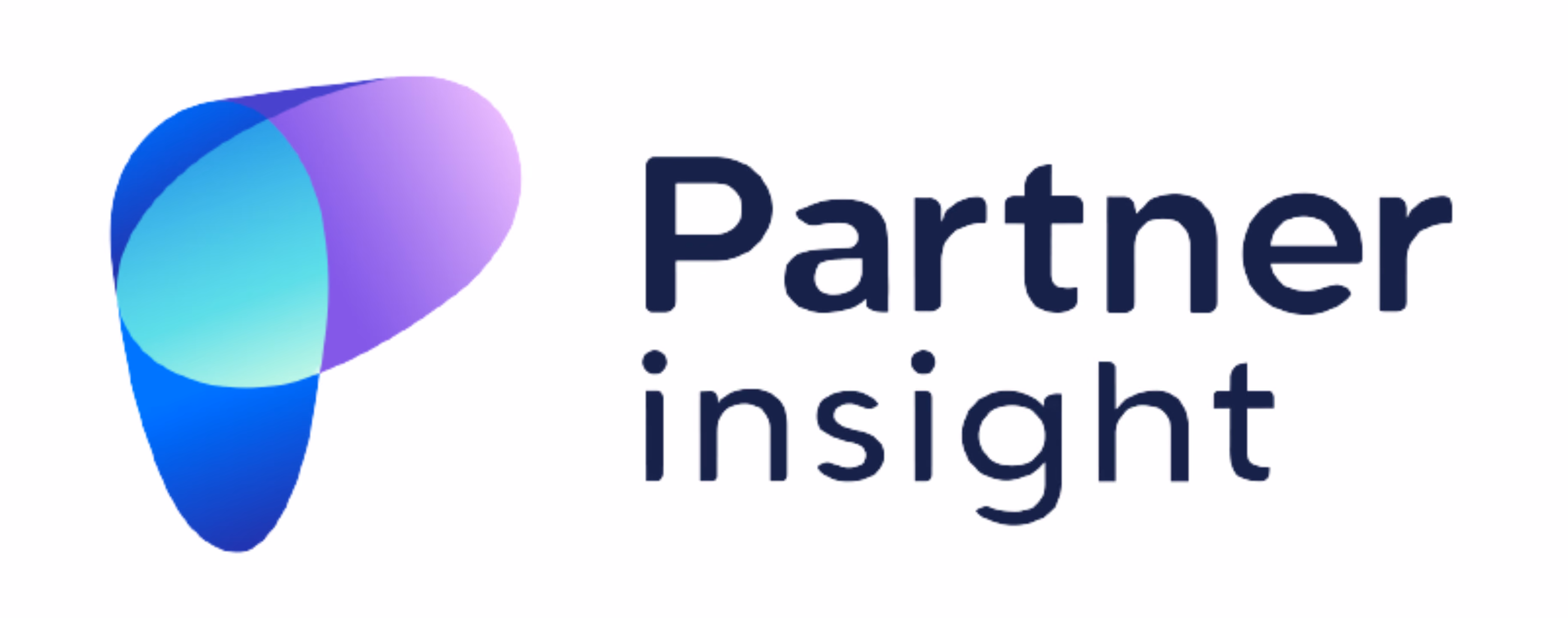 Partner insight logo