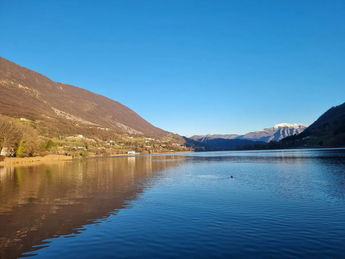 the latest posts images of each post