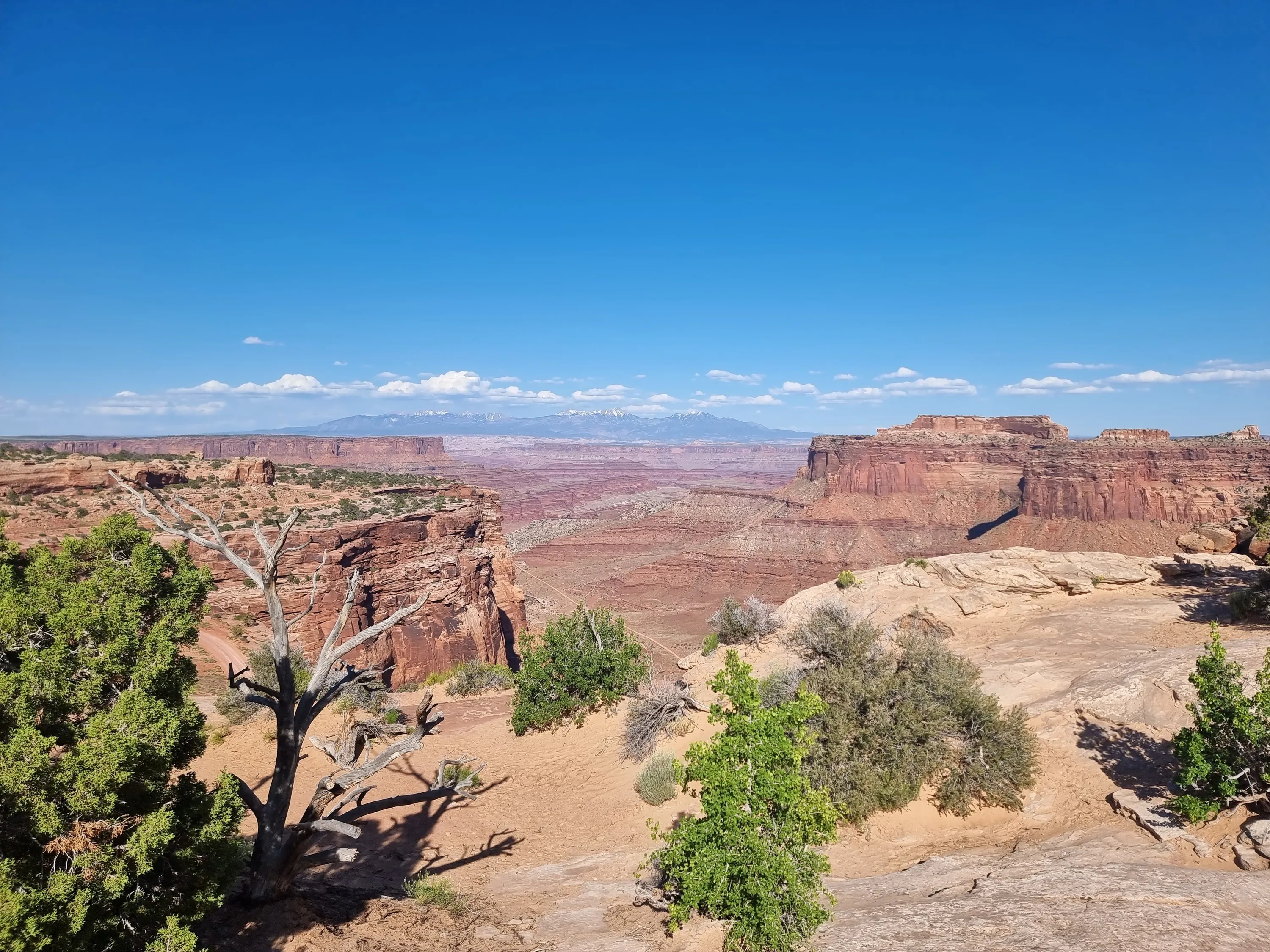 clear summer skies over vast canyons stretching all the way into the horizons in Moab, Utah Canyonlands National Park. TheGymsyTraveller