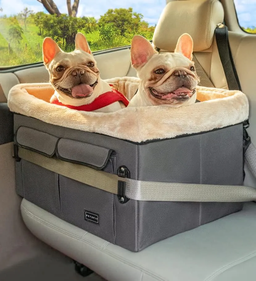 dogs travelling in a car sitting in a basket