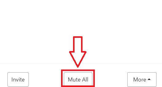 Mute All Participants on Zoom