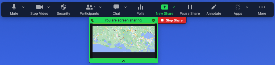 Zoom Screen Sharing