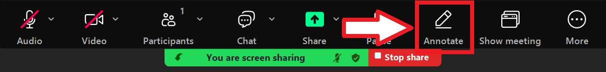 Using Annotation Tools on Zoom
