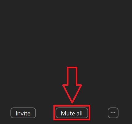 How to Mute Everyone in a Zoom Meeting