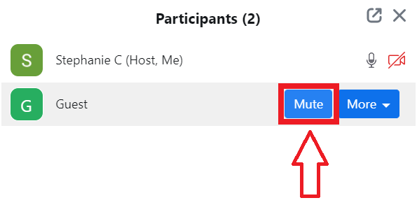 Mute Participants on Zoom