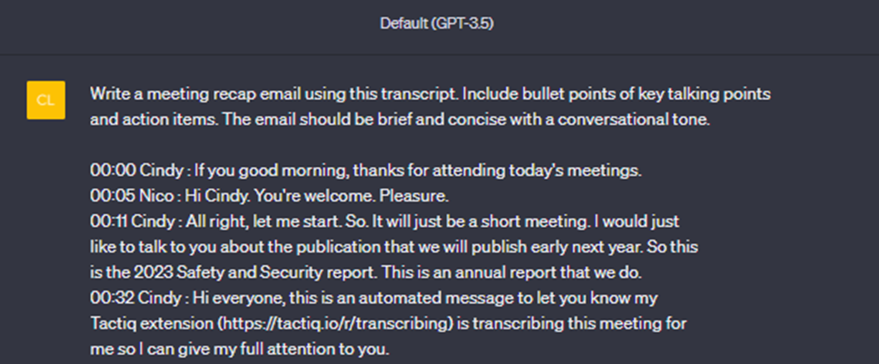 ChatGPT Prompt Based on Meeting Transcript