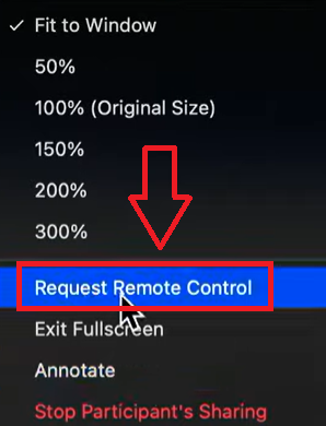 Request Remote Control in Zoom