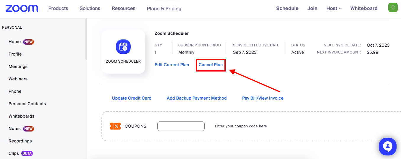 Zoom cancel add-on subscription