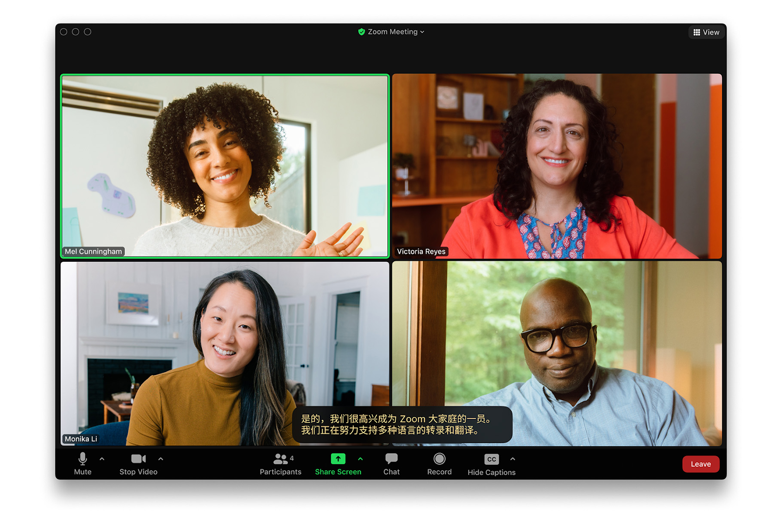 What is Zoom Translation Feature?