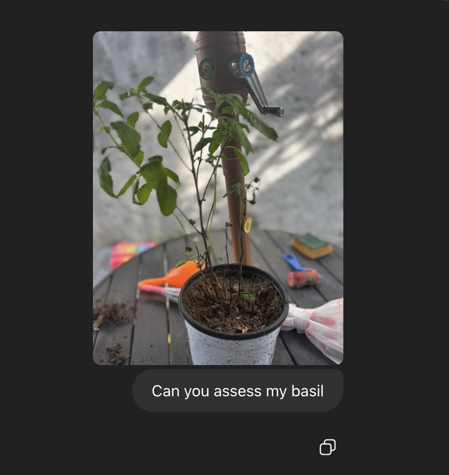 ChatGPT Capabilities