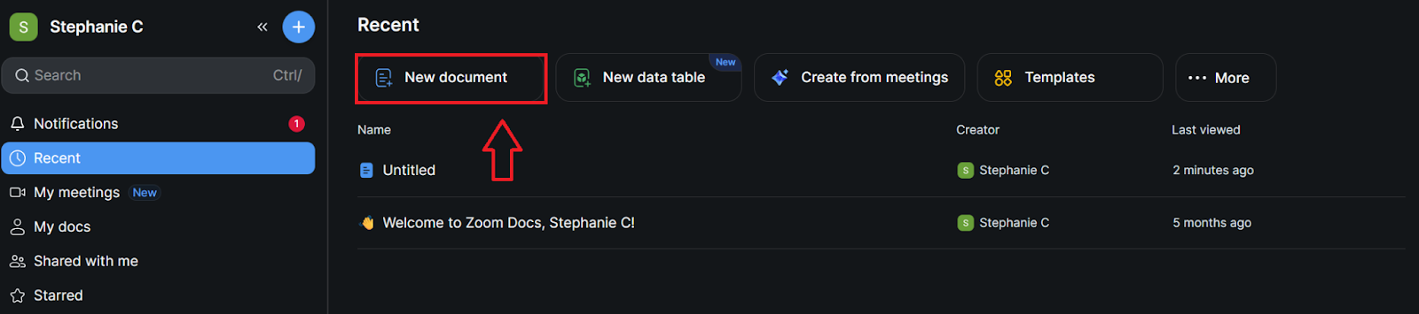 Zoom Docs New Document