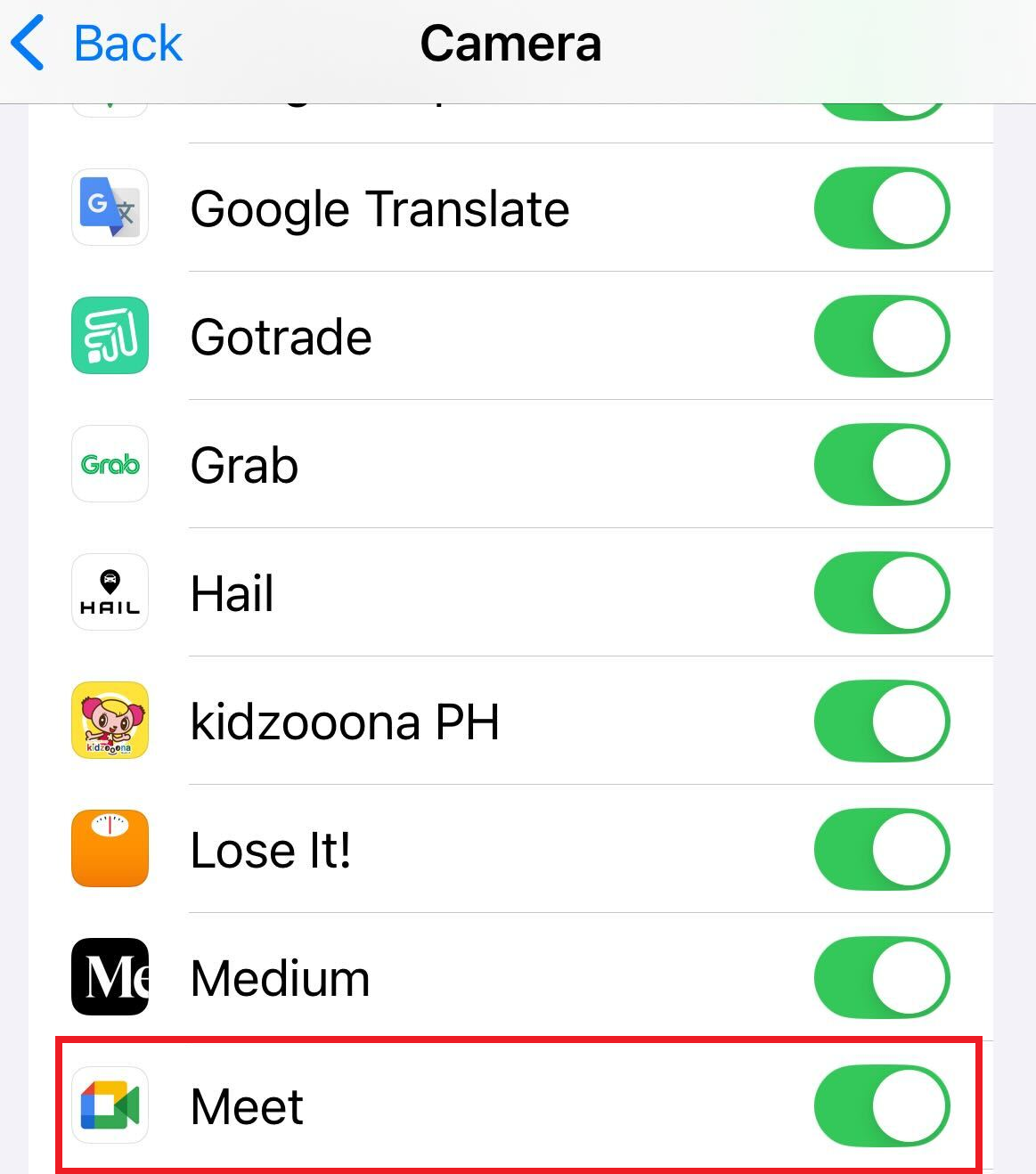 Enabling Camera for Google Meet