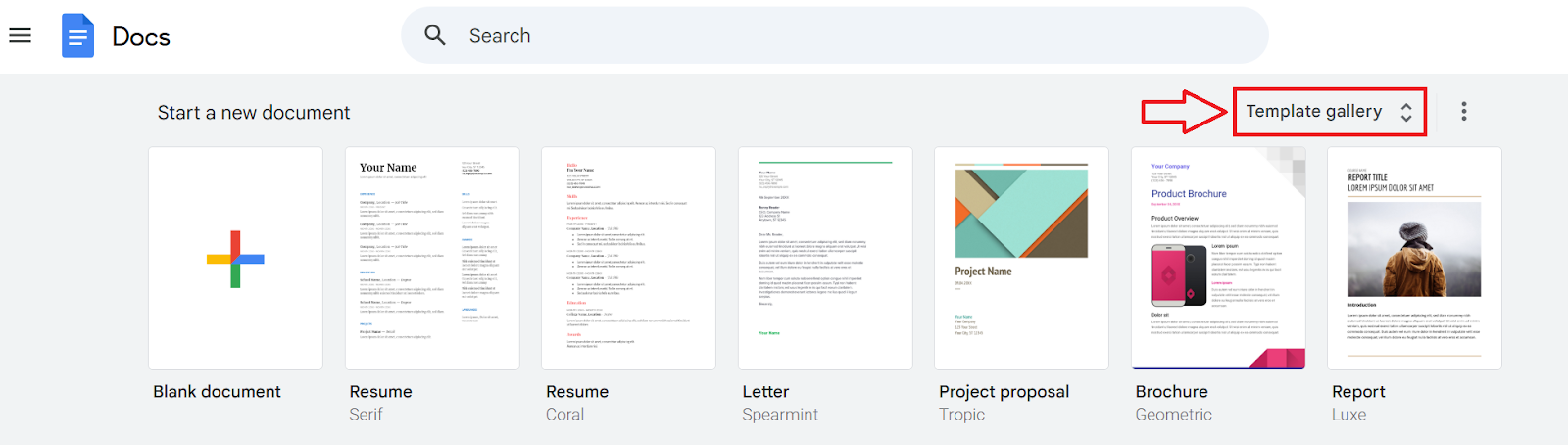 Google Docs Template Gallery