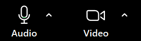 Zoom Audio and video controls