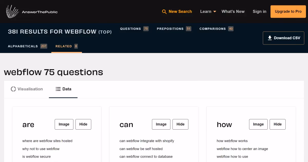 Answer the public results for Webflow