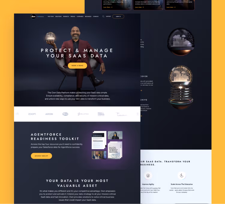 Own Data website thumbnail