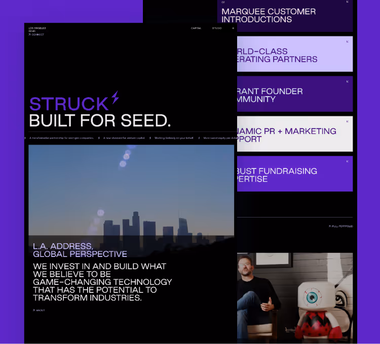 Struck Capital website thumbnail