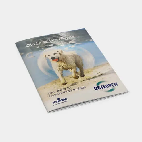 Osteopen Customer Brochure