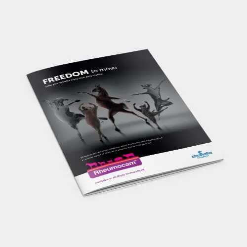 Rheumocam Brochure