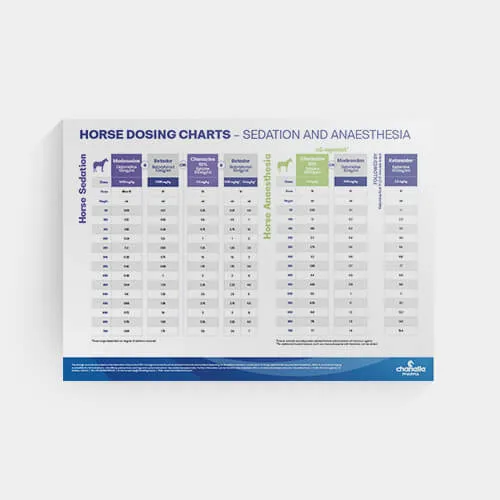 Equine Dosage Chart