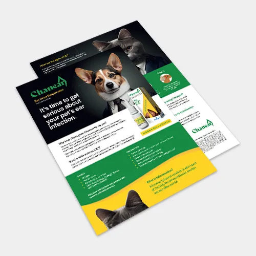 Chanear Owner Leaflet