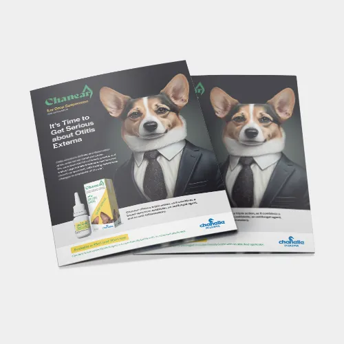 Chanear Vet Leaflet
