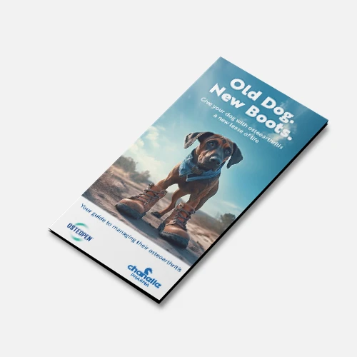 Osteopen Customer Brochure