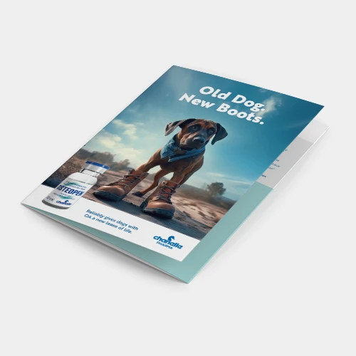 Osteopen Vet Brochure