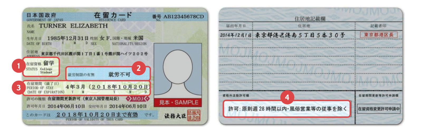 在留カードのサンプル画像