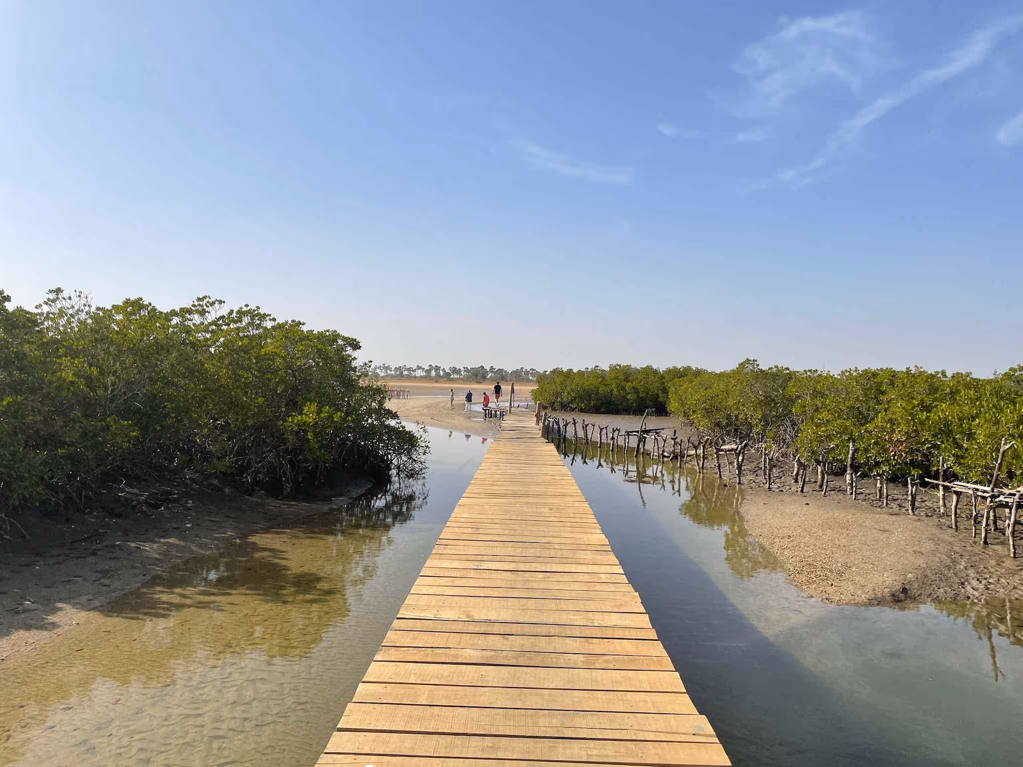 Sine Saloum - Senegal
