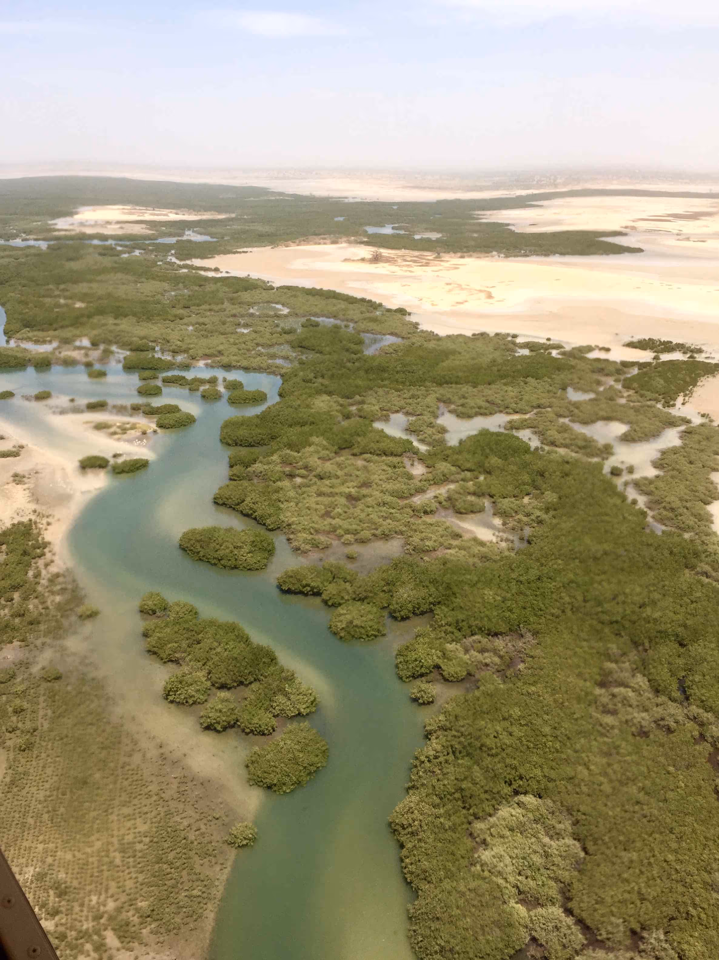 Sine Saloum - Senegal