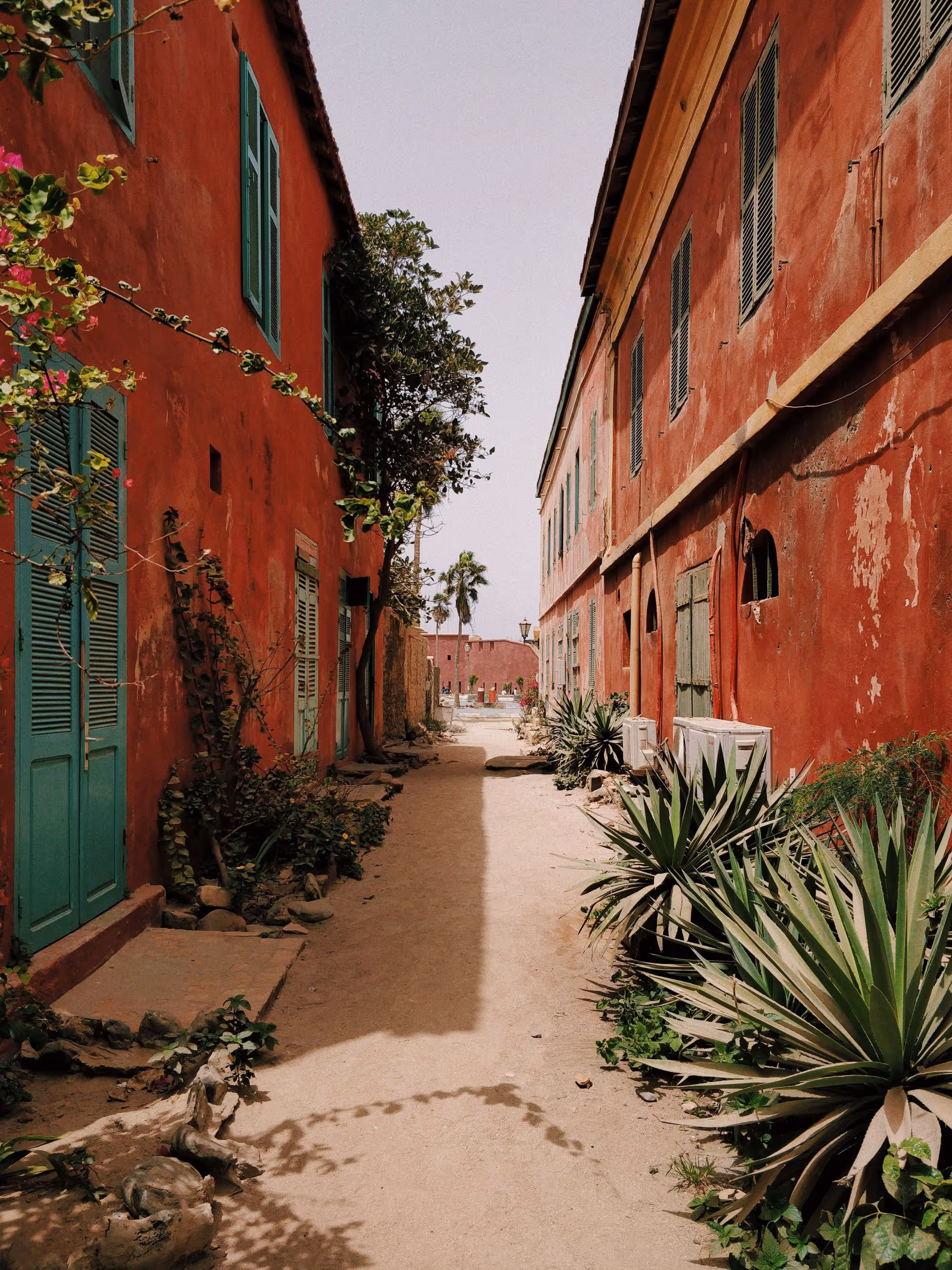 Senegal Travel Guide