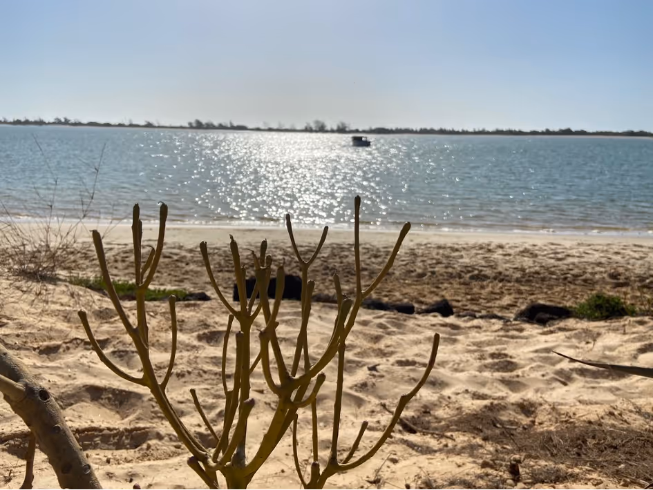 Senegal Travel Guide
