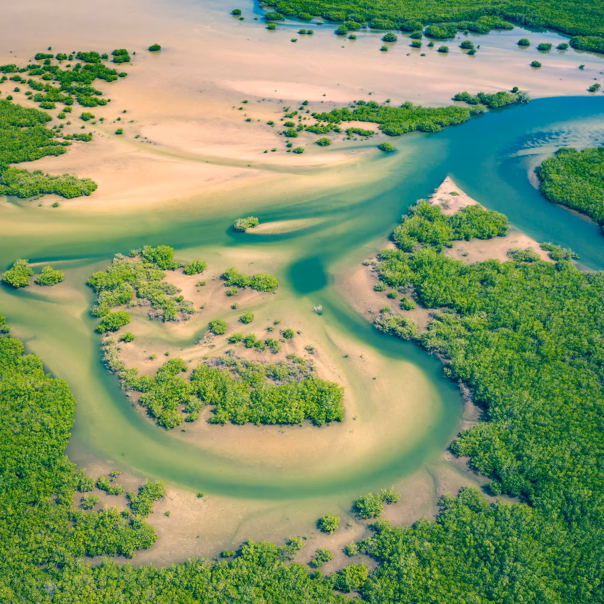 Senegal Travel Guide