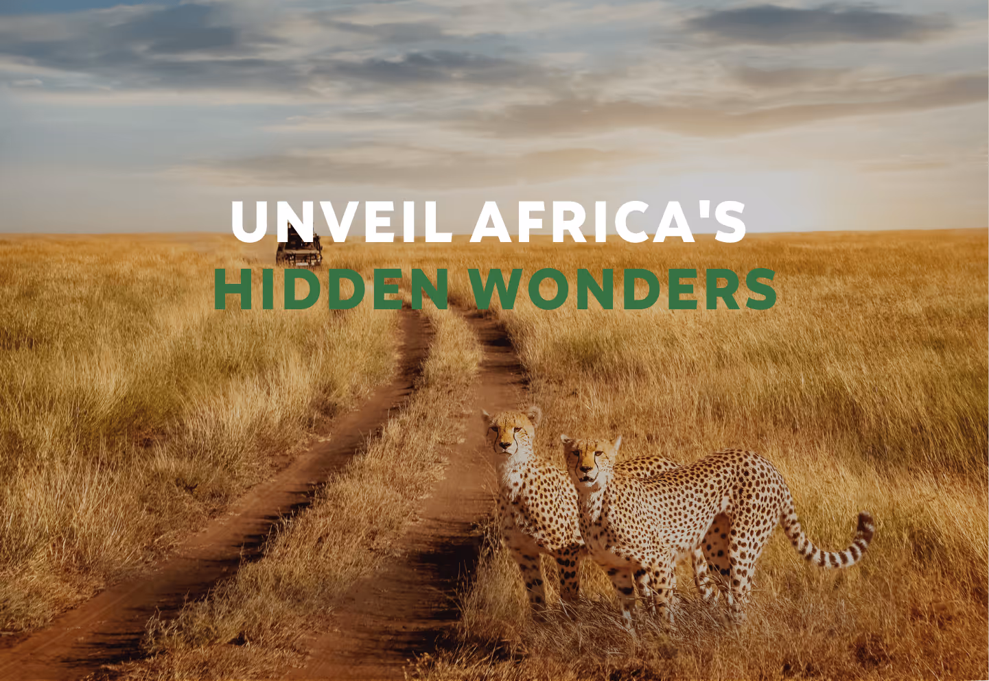 Kihindo Tours and safaris