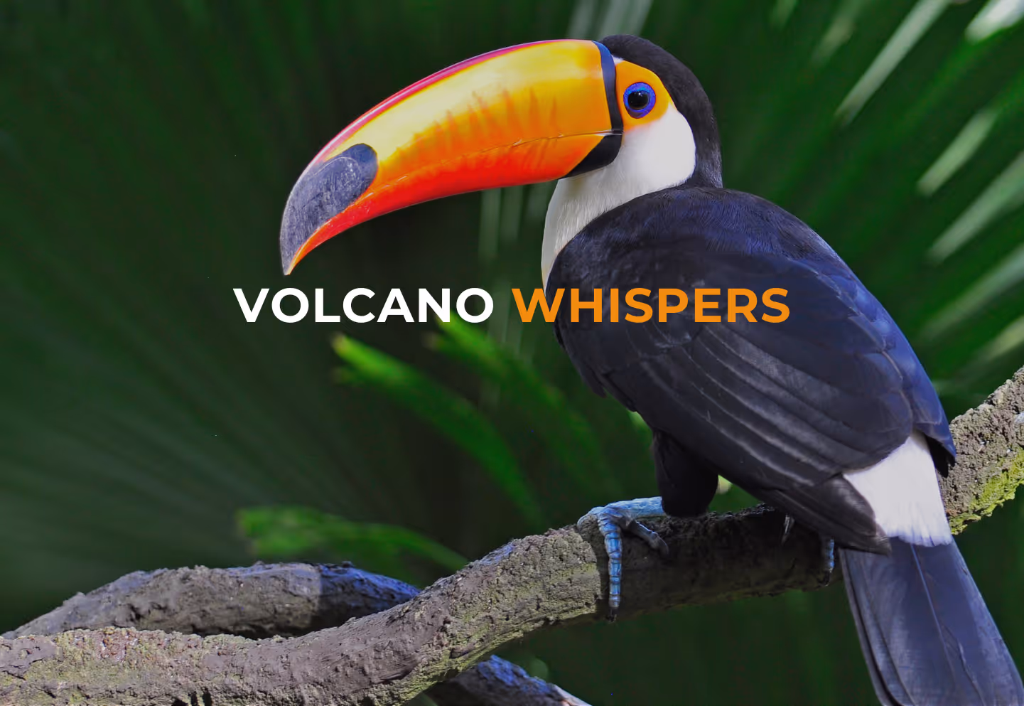 ecuador nature and culture tour