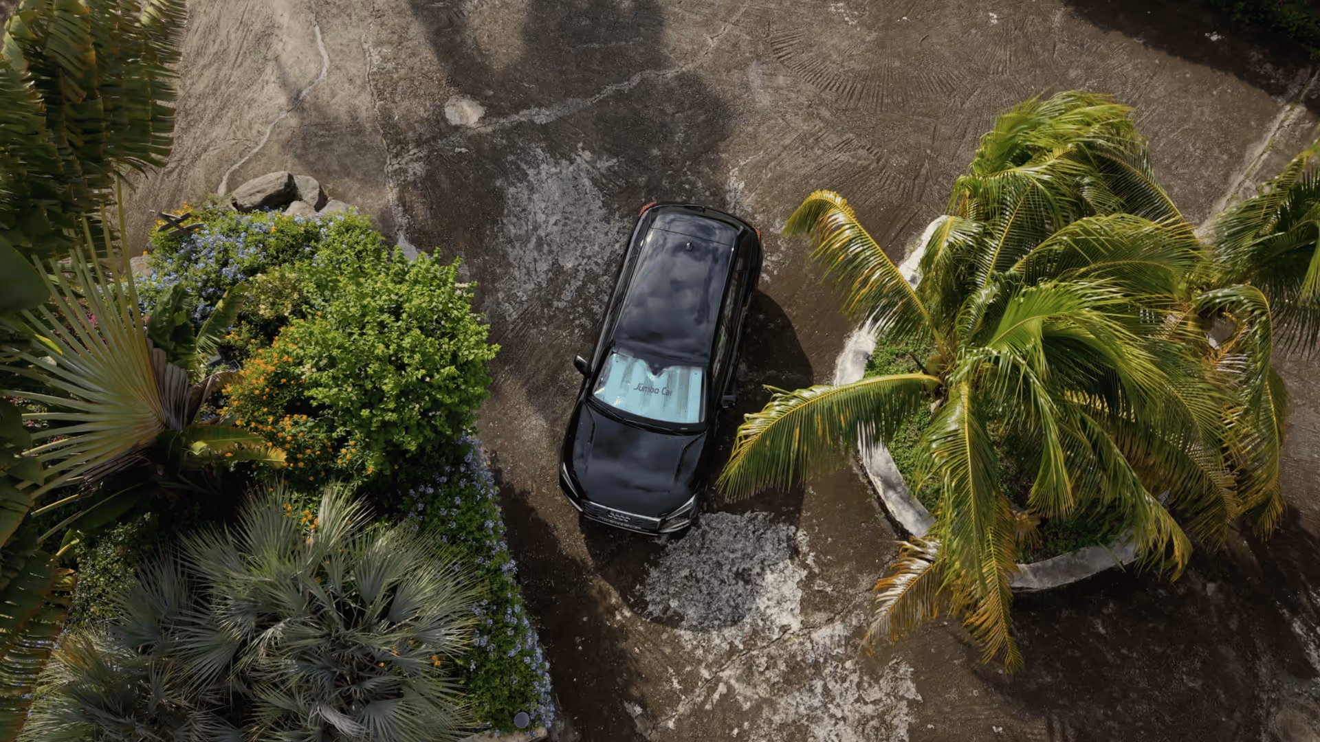 Location voiture Guadeloupe aéroport Pôle Caraïbes - Comptoir JumboCar avec Audi