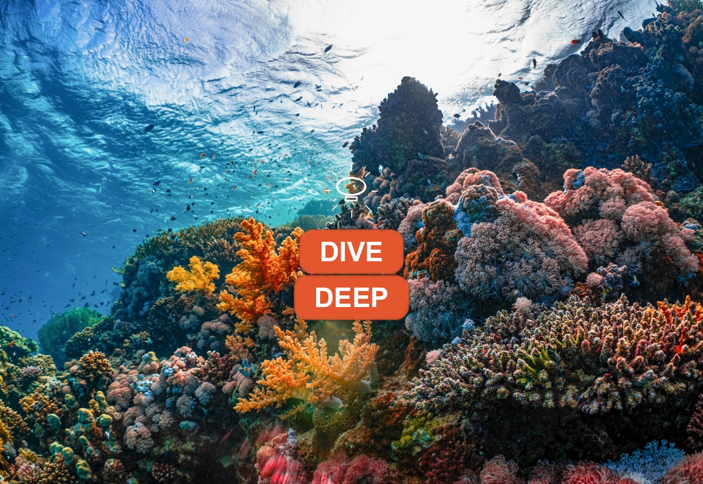 Scuba diver above coral reef Cousteau Reserve Malendure Guadeloupe diving guide 2026 Travel Differently
