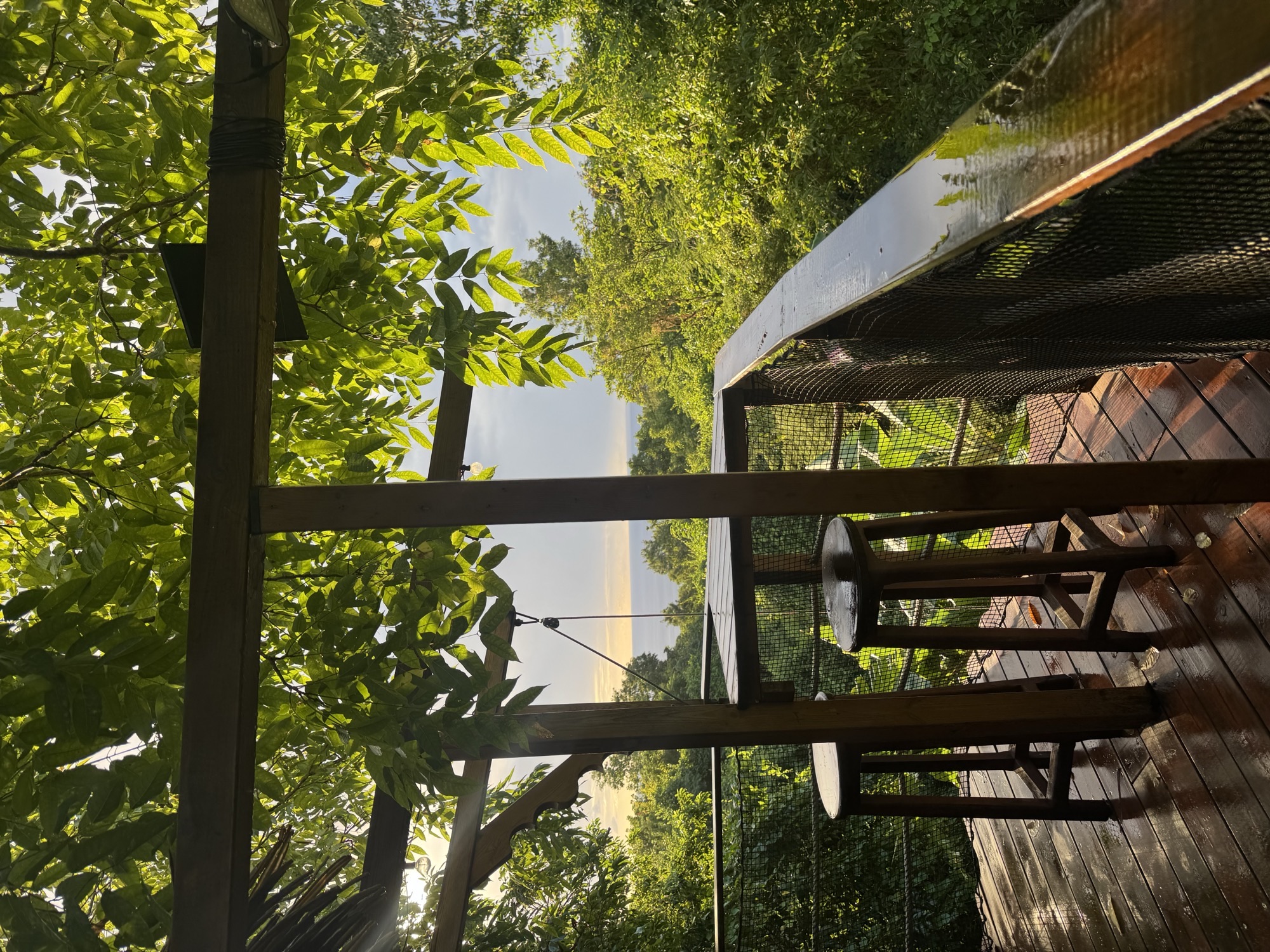 Habitation Getz tree cabin Vieux-Habitants Guadeloupe ecolodge
