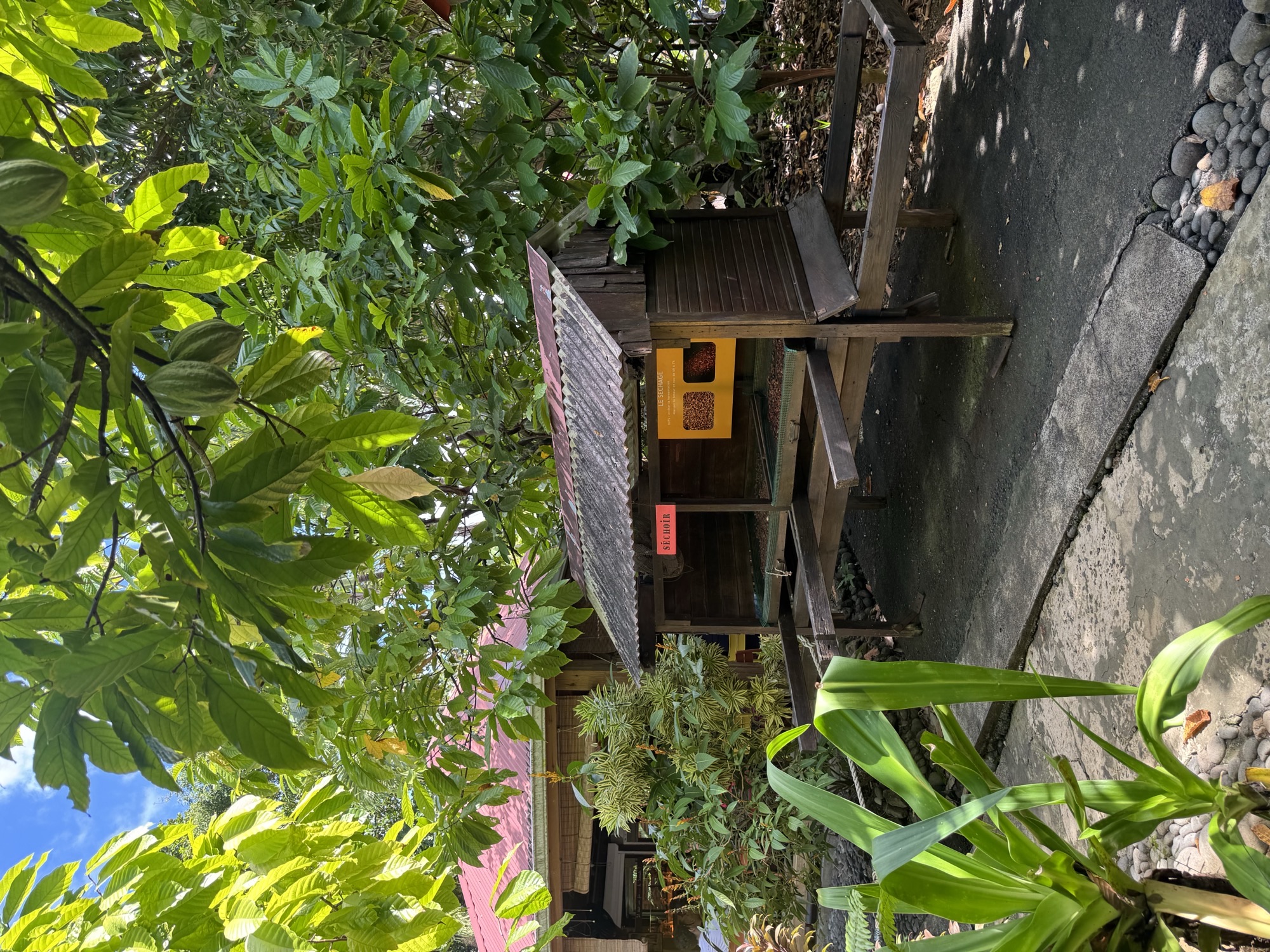 Maison du Cacao Pointe-Noire cabosse cacao écomusée Guadeloupe