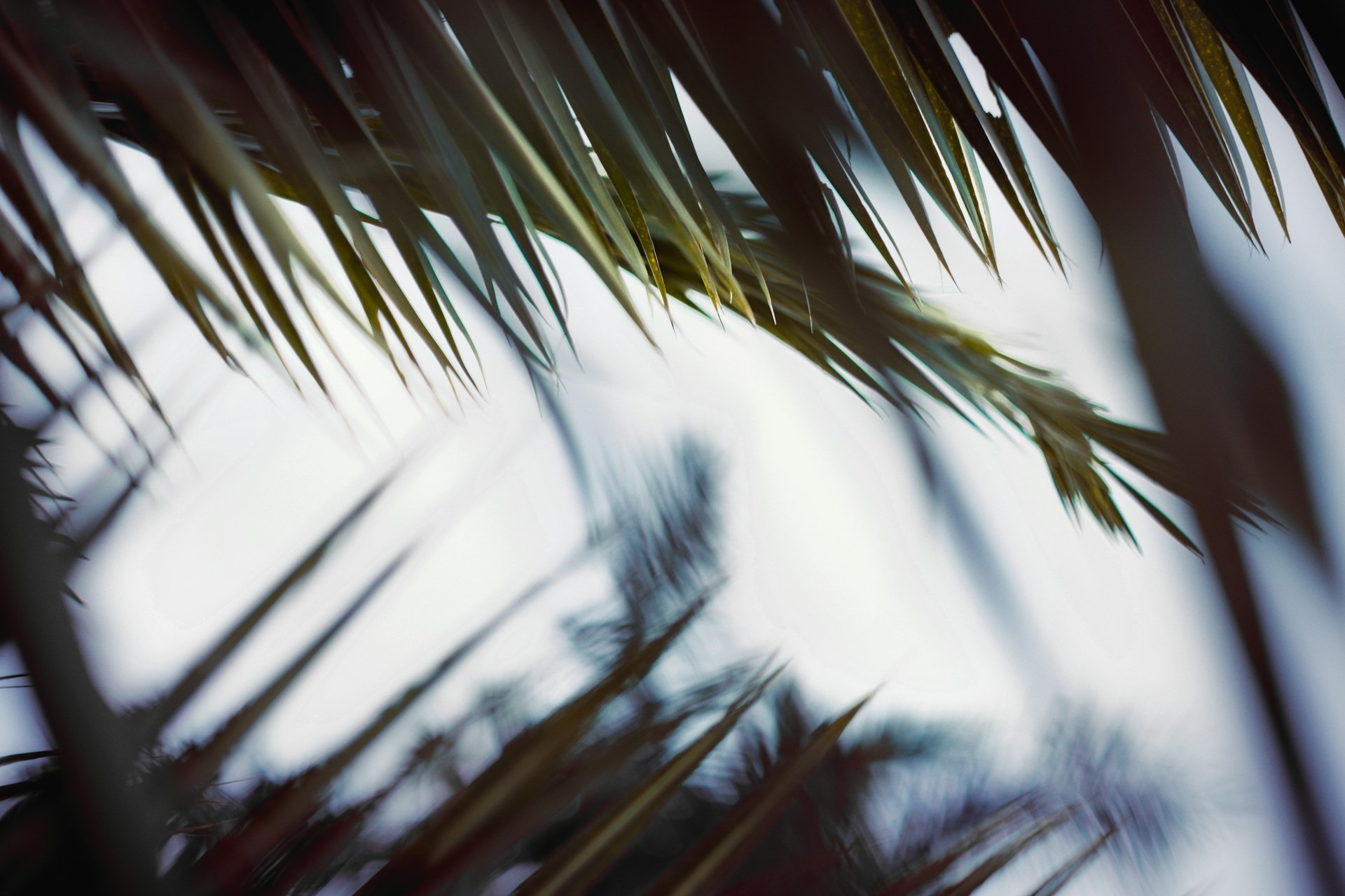 Quand partir Guadeloupe saisons soleil pluie 2026 Travel Differently