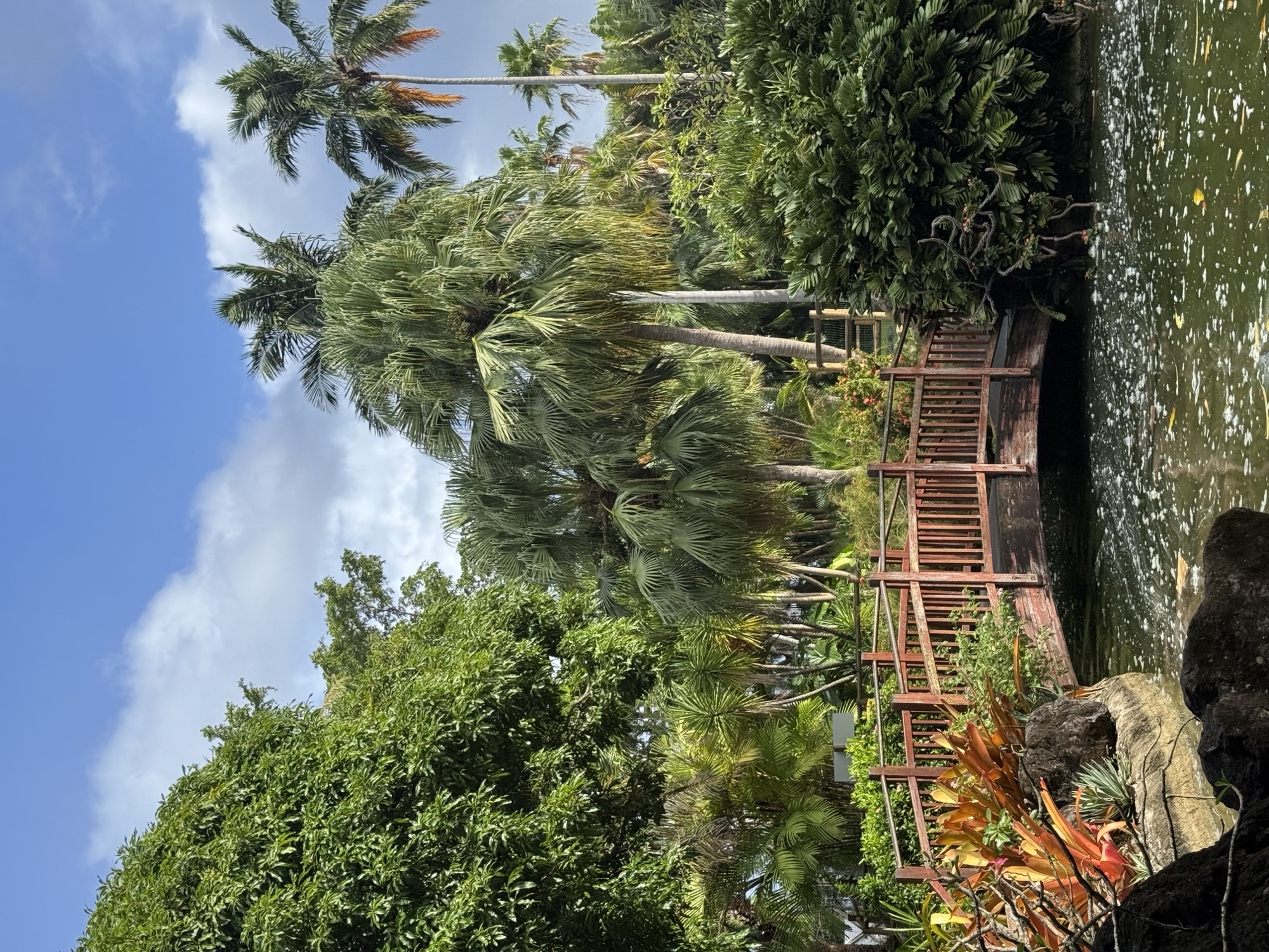 Guadeloupe Travel Differently