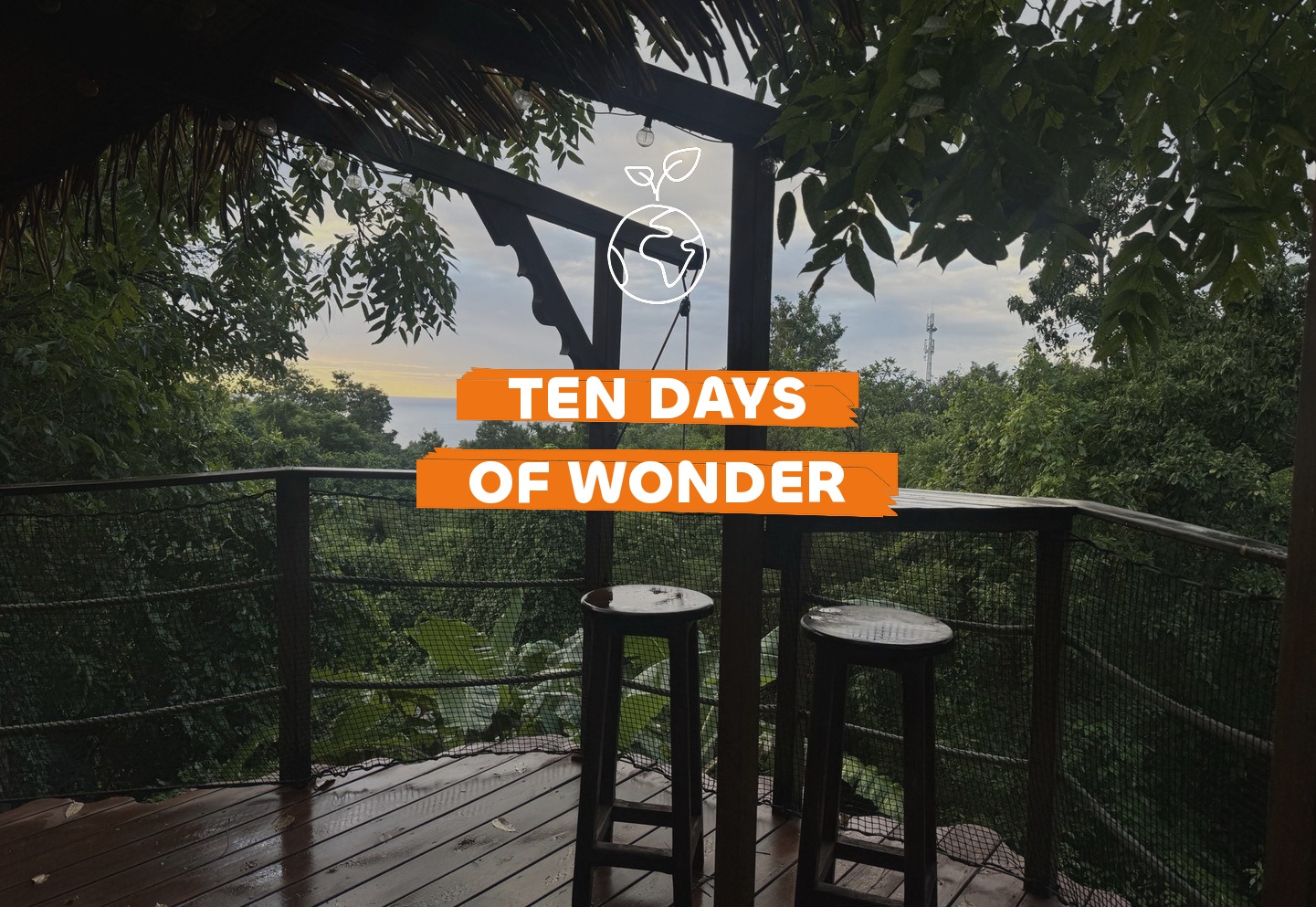 Coastal road and rainforest hills on a Guadeloupe 10-day driving itinerary , Travel Differently