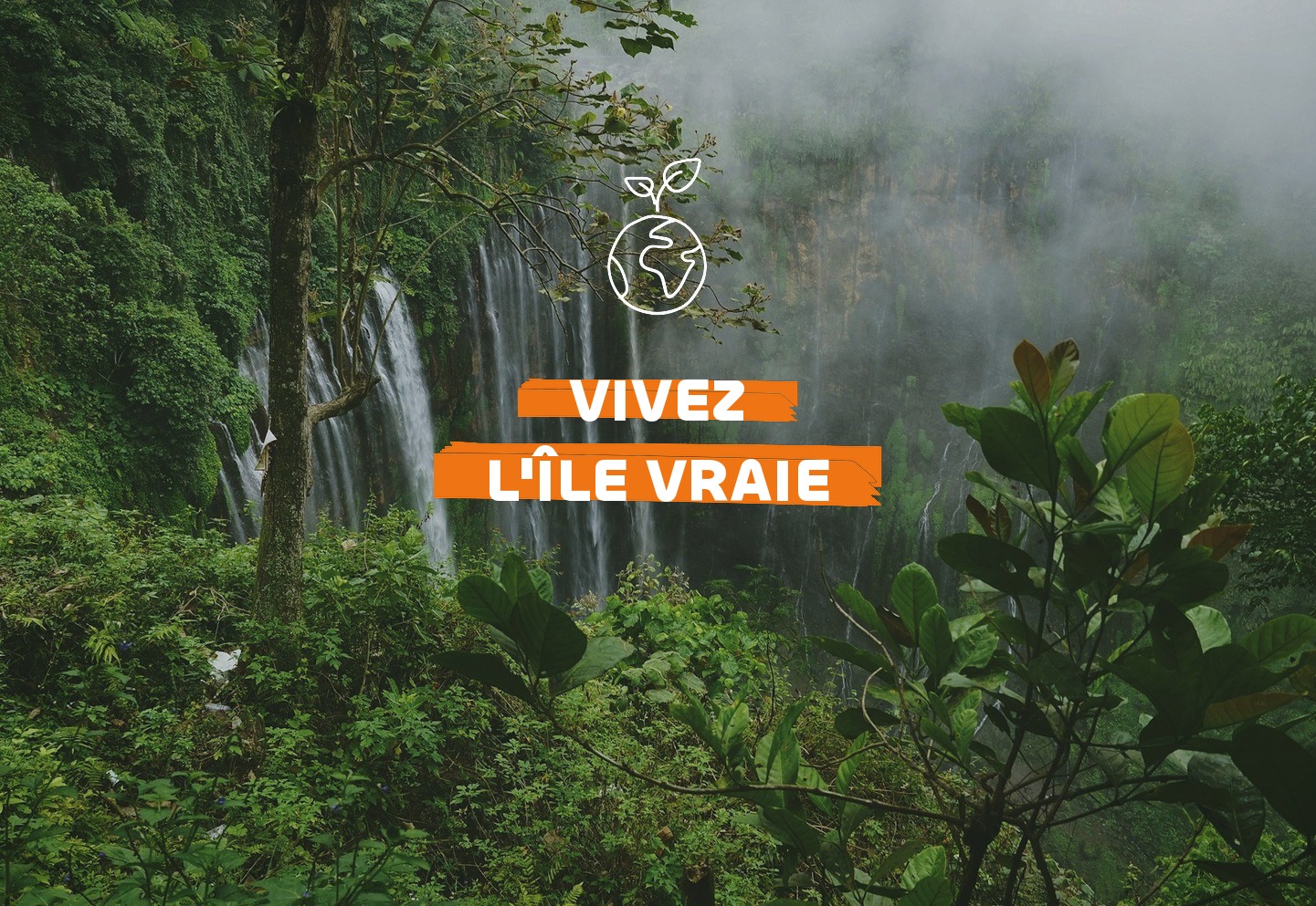 Snorkeling et sentier forêt dans le guide que faire en Guadeloupe , Travel Differently