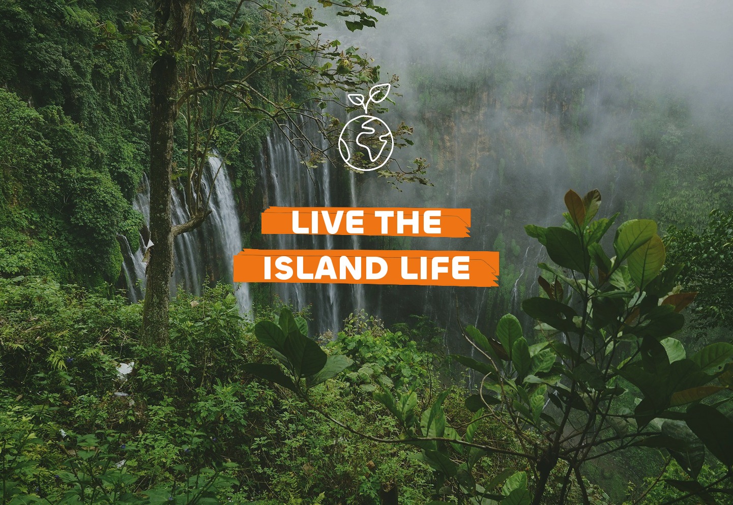 Snorkeller and rainforest trail in Guadeloupe things to do guide , Travel Differently