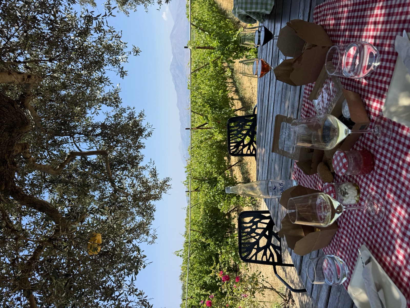 Table de pique-nique et vin au domaine Lyrarakis, Alagni, Crète