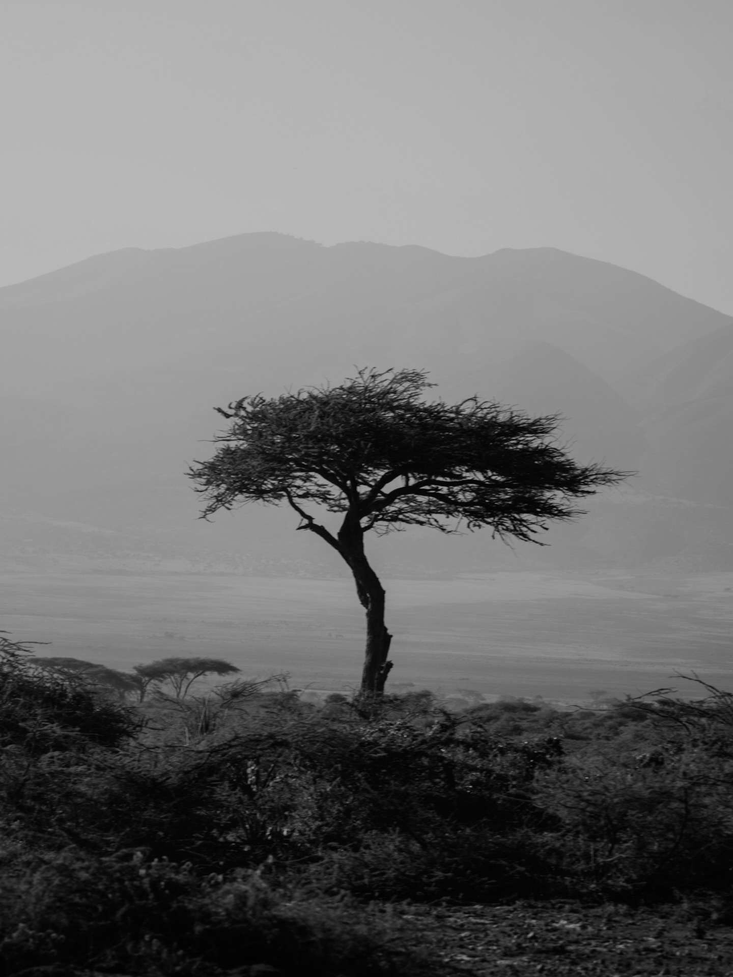 traveldifferently_