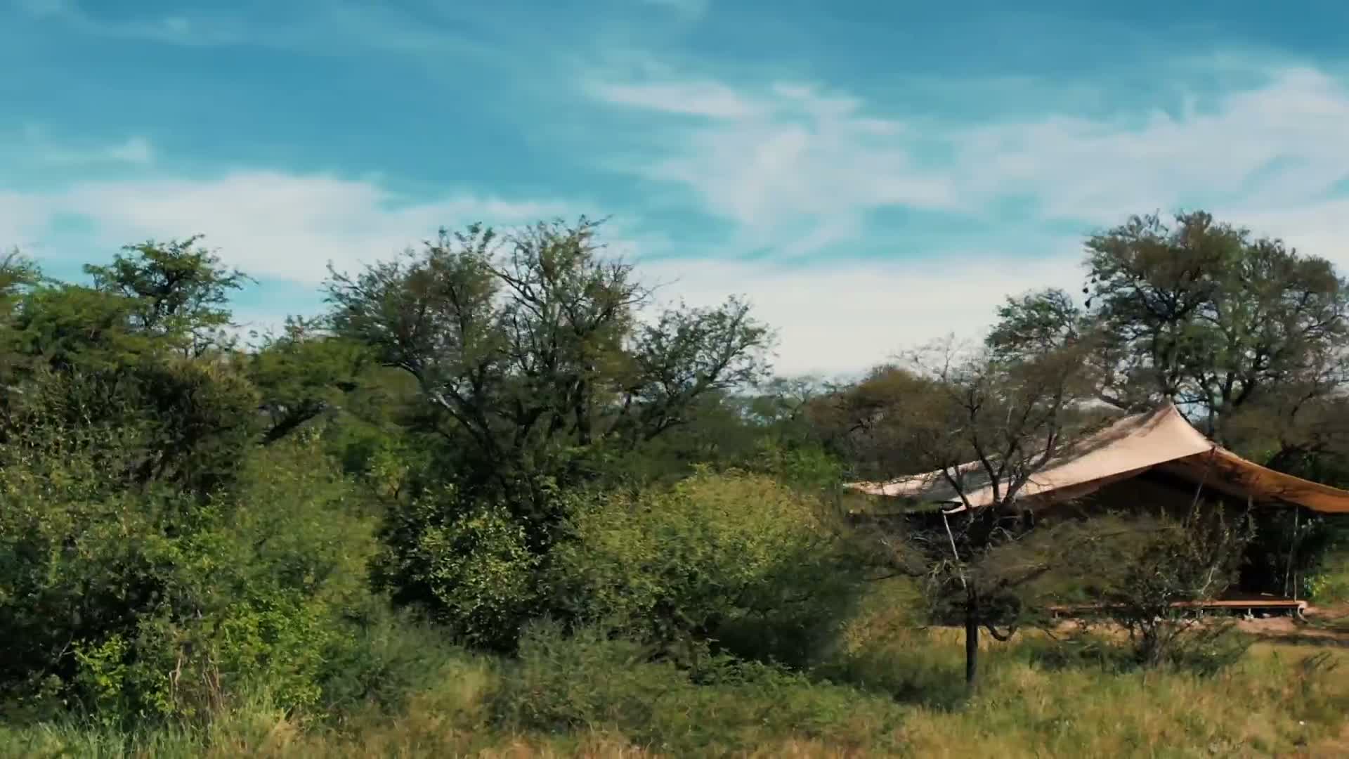 Asanja Siri Bustani camp Grumeti, tentes luxe ouest Serengeti Tanzanie